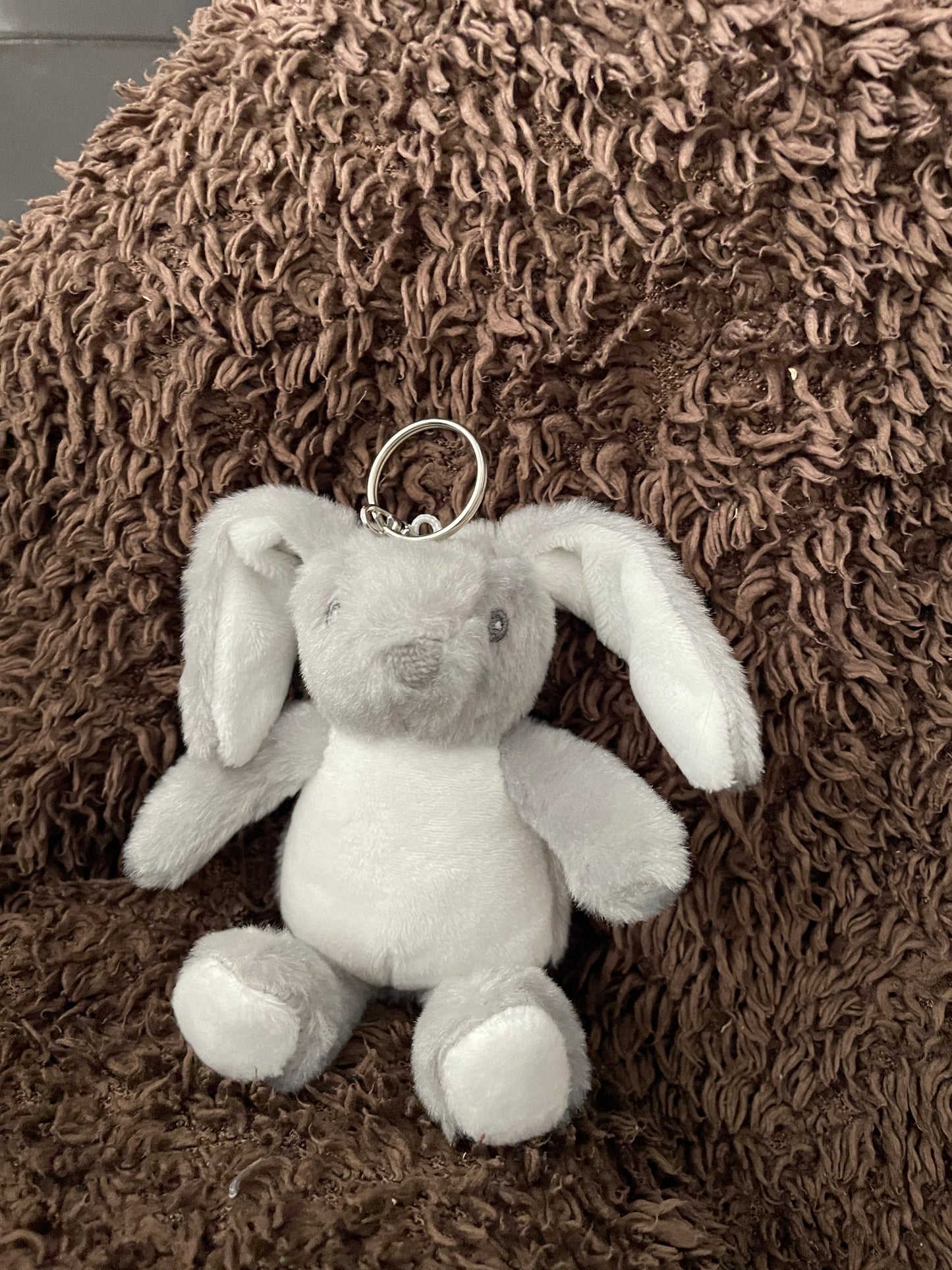 Teddy keyring